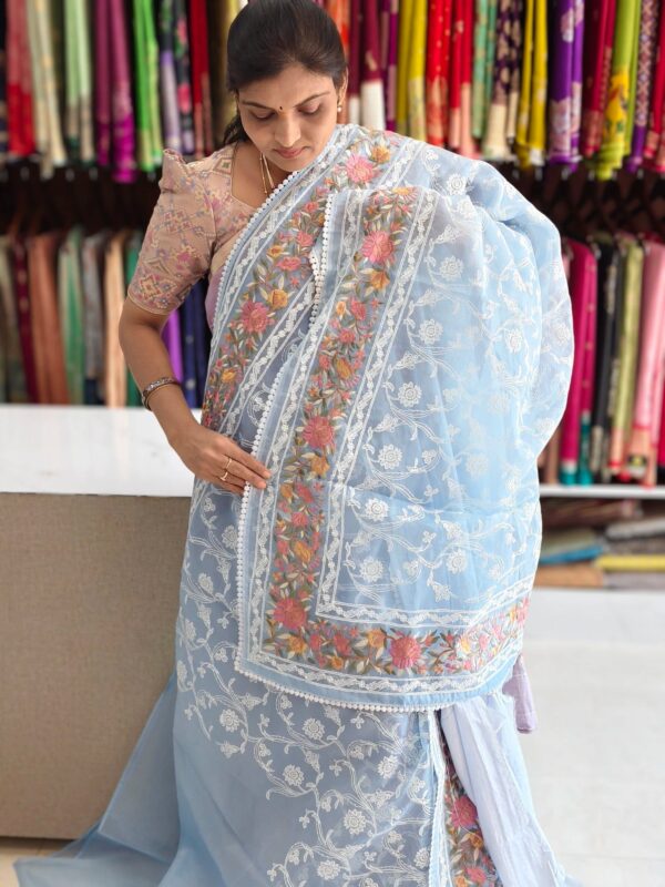 Kora Banarasi allover embroidery work saree - Banarasi Sarees by Shreekari Silks