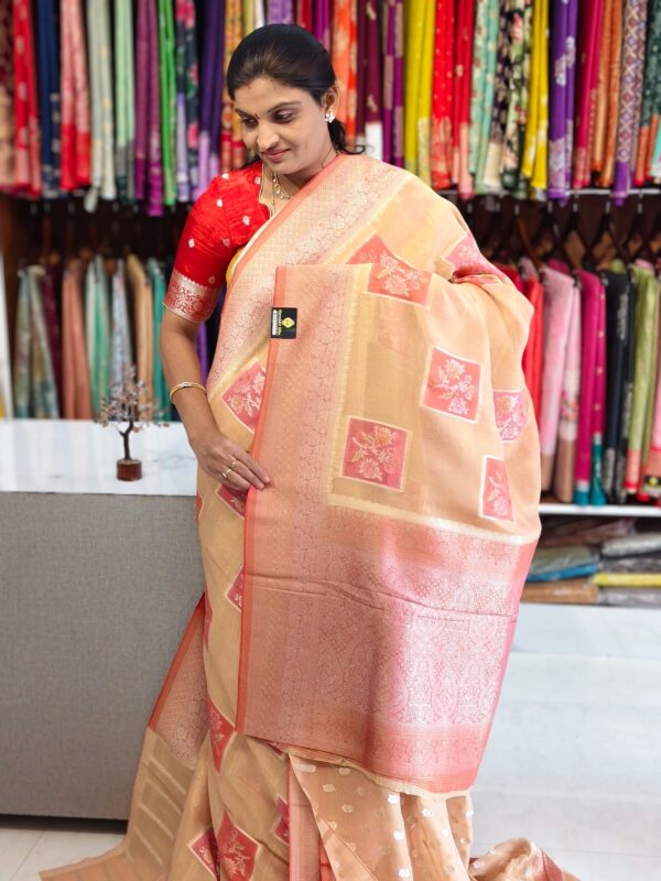 Tissue Banarasi saree - Banarasi Sarees by Shreekari Silks